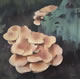 d2 Collection: Mostly Mushrooms - 16" x 16" oil on canvas