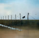 d2 Collection: Solway - 40" x 40" oil on canvas